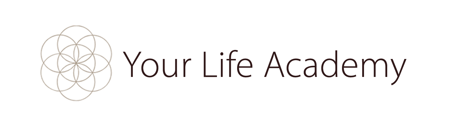 Your Life Academy - One Day Retreats 